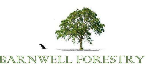 Company-logo-3-510x287