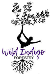 logo-206x300